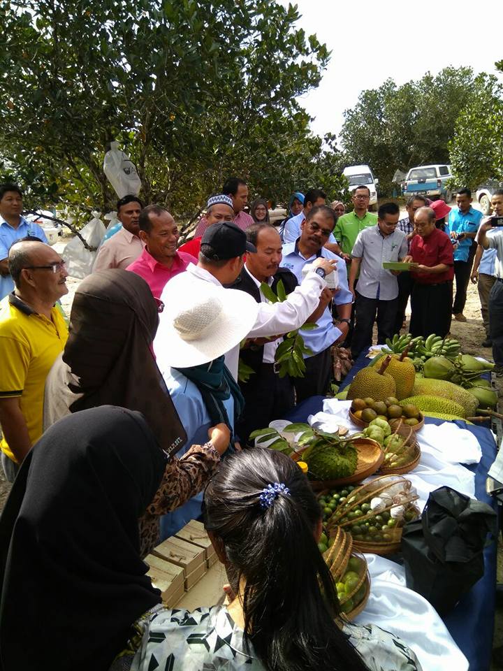 17098587_701264006718044_5627134269603923358_n