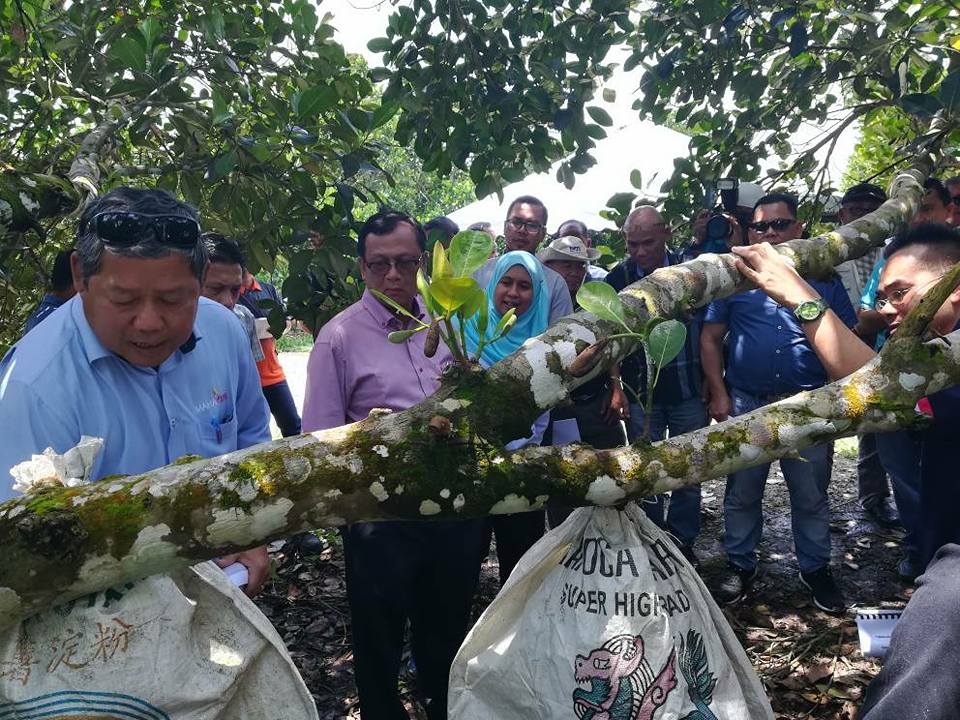 20953432_1730294607264645_6010022596308189043_n